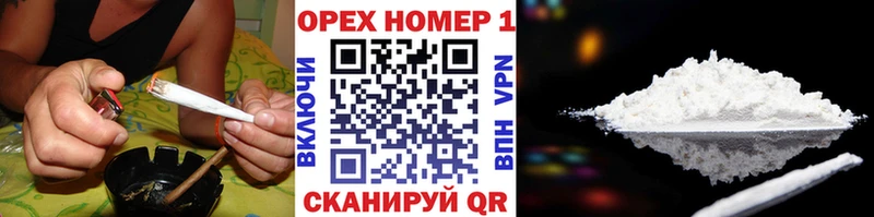  COCAIN Сосногорск