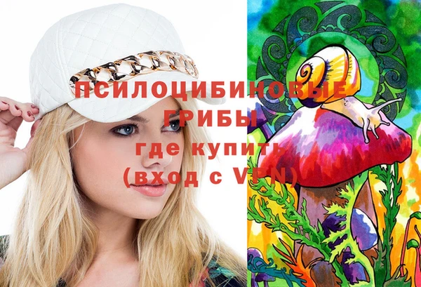 не бодяженный Бородино