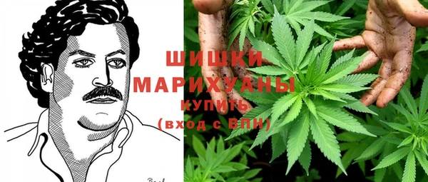 не бодяженный Бородино