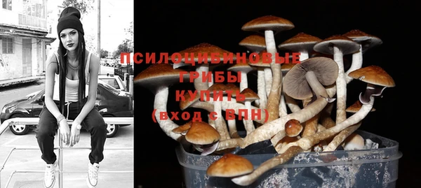 не бодяженный Бородино