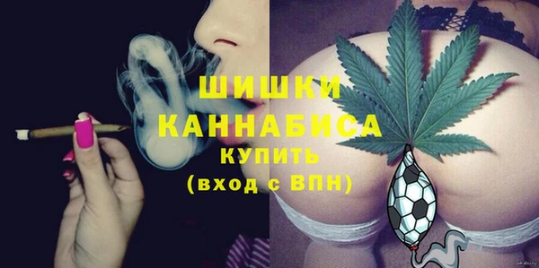 не бодяженный Бородино