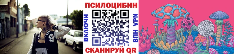 Галлюциногенные грибы Psilocybine cubensis Сосногорск