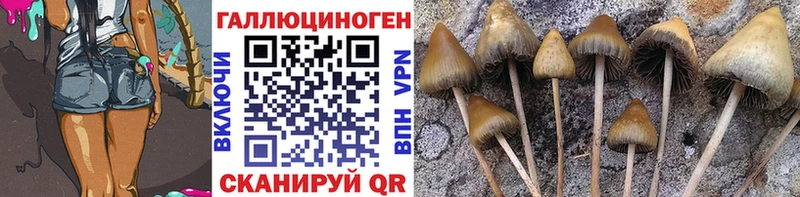 Псилоцибиновые грибы Psilocybine cubensis  Сосногорск 